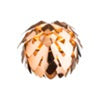 decorativas