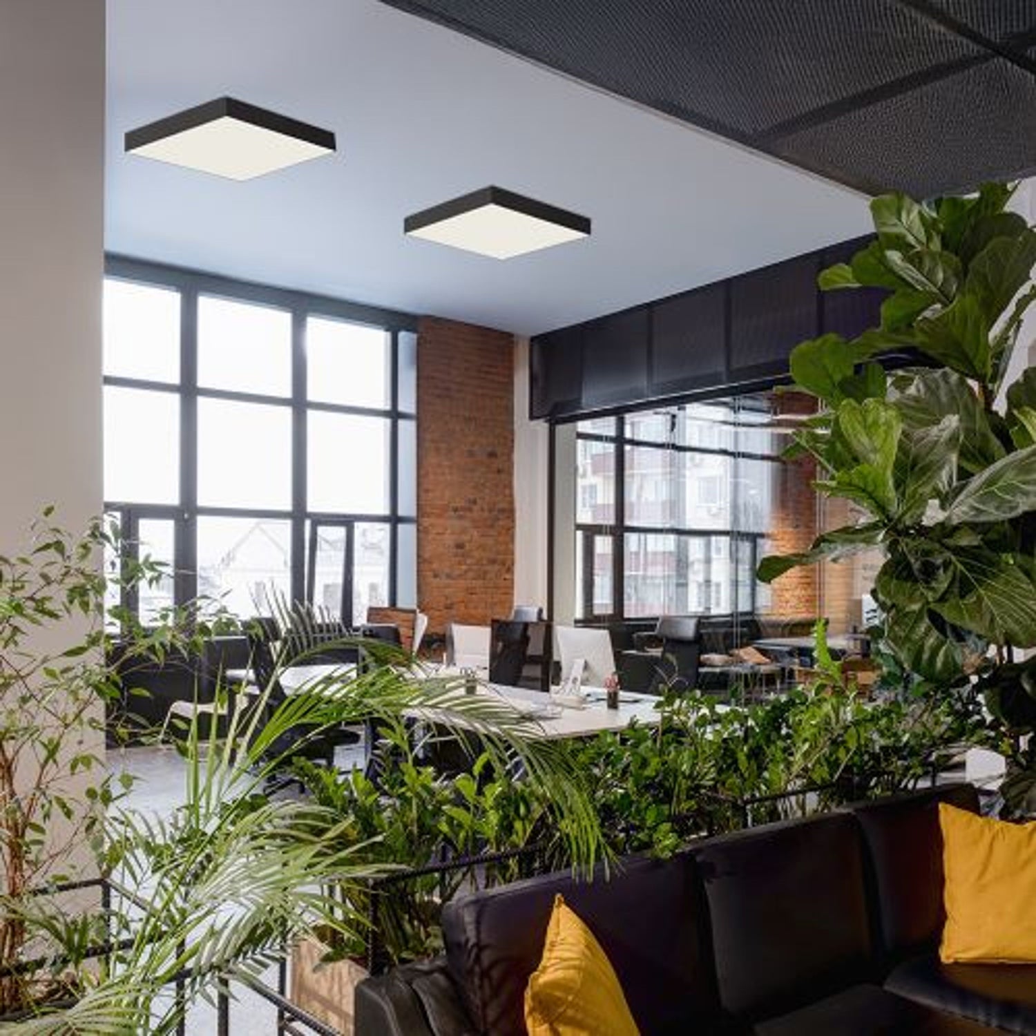 Lámparas de techo de salón