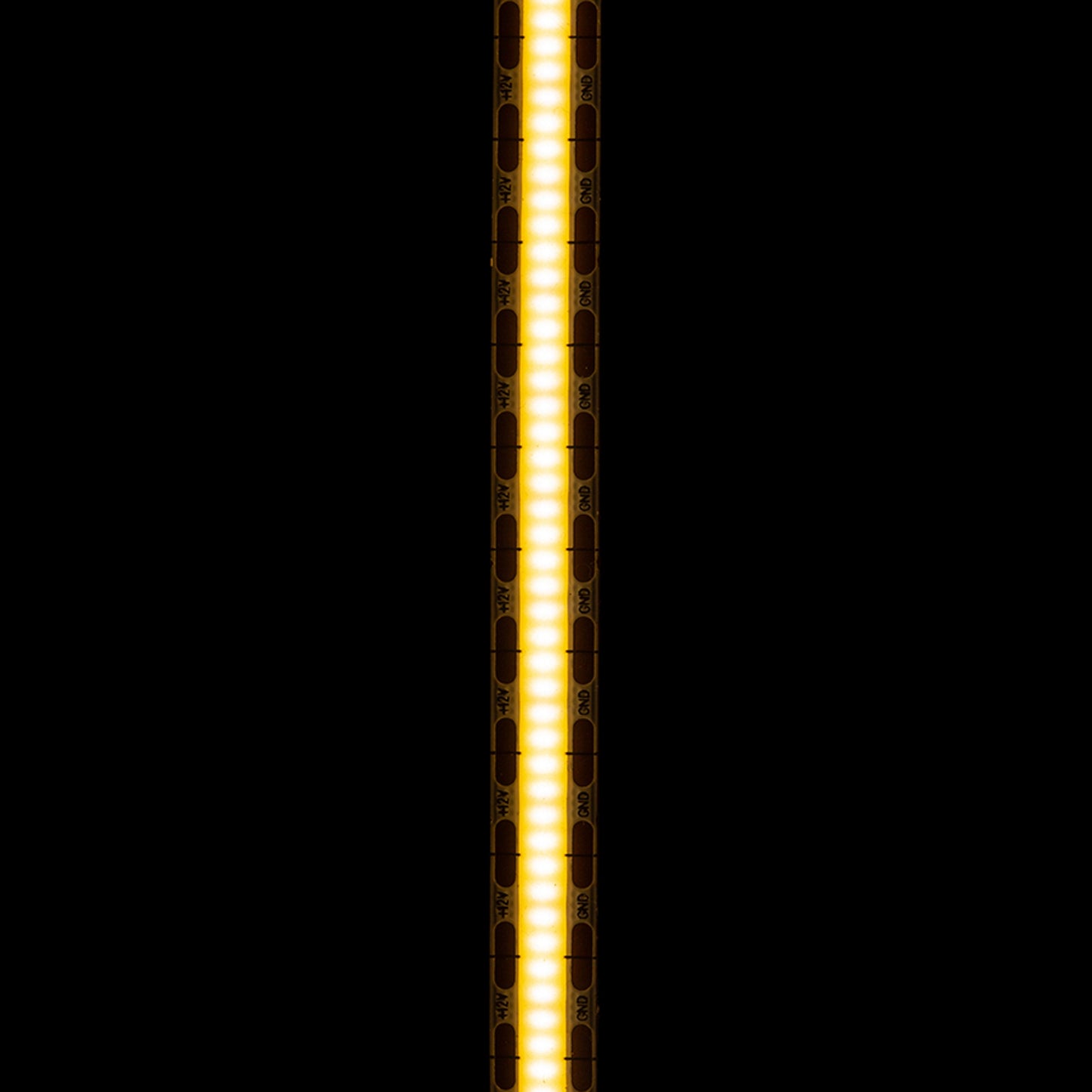 RENDL LED-strip LED STRIP ORION LED-strip 5m   12V= LED 50W 120°  3000K G13798 3