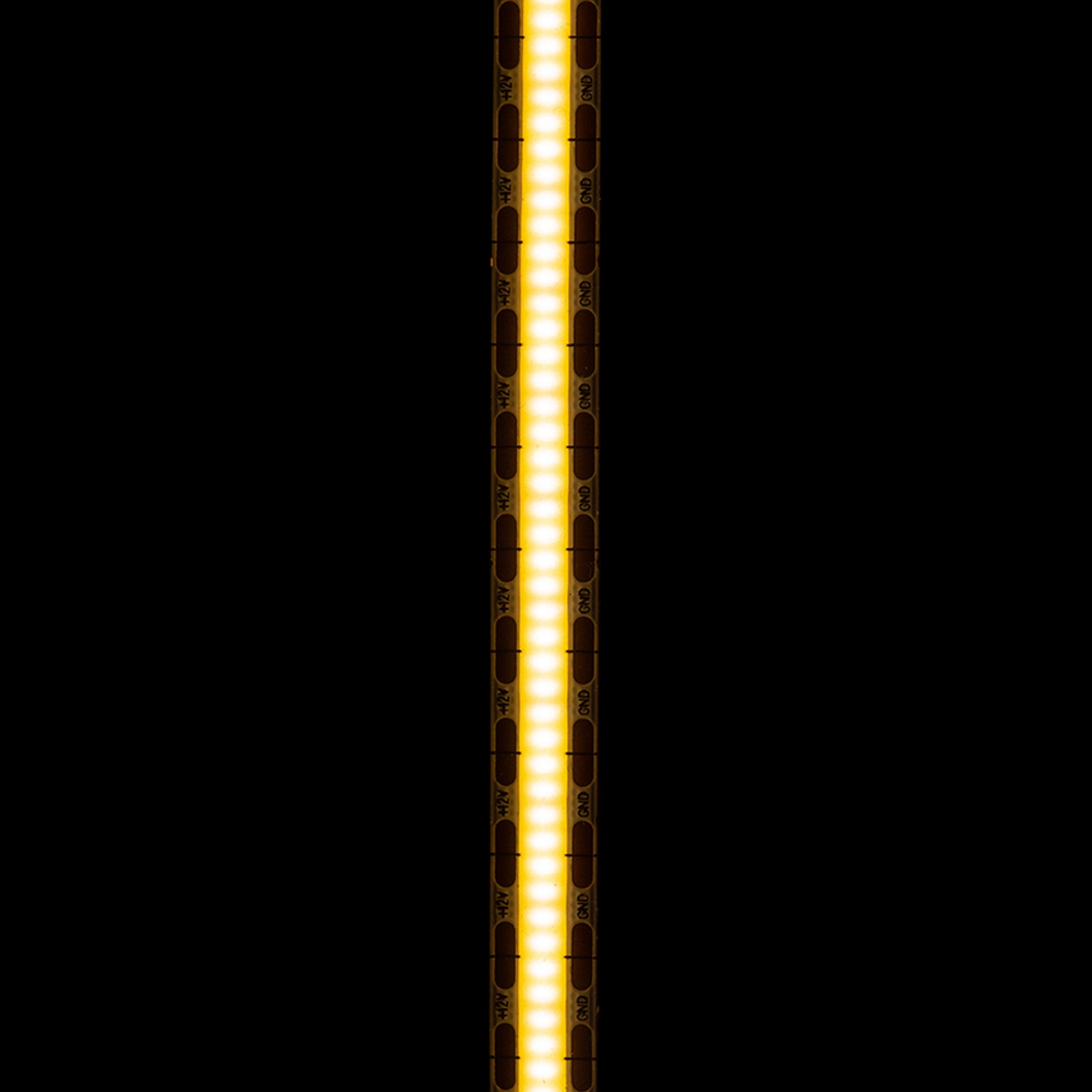 RENDL LED-strip LED STRIP ORION LED-strip 5m   12V= LED 50W 120°  3000K G13798 3