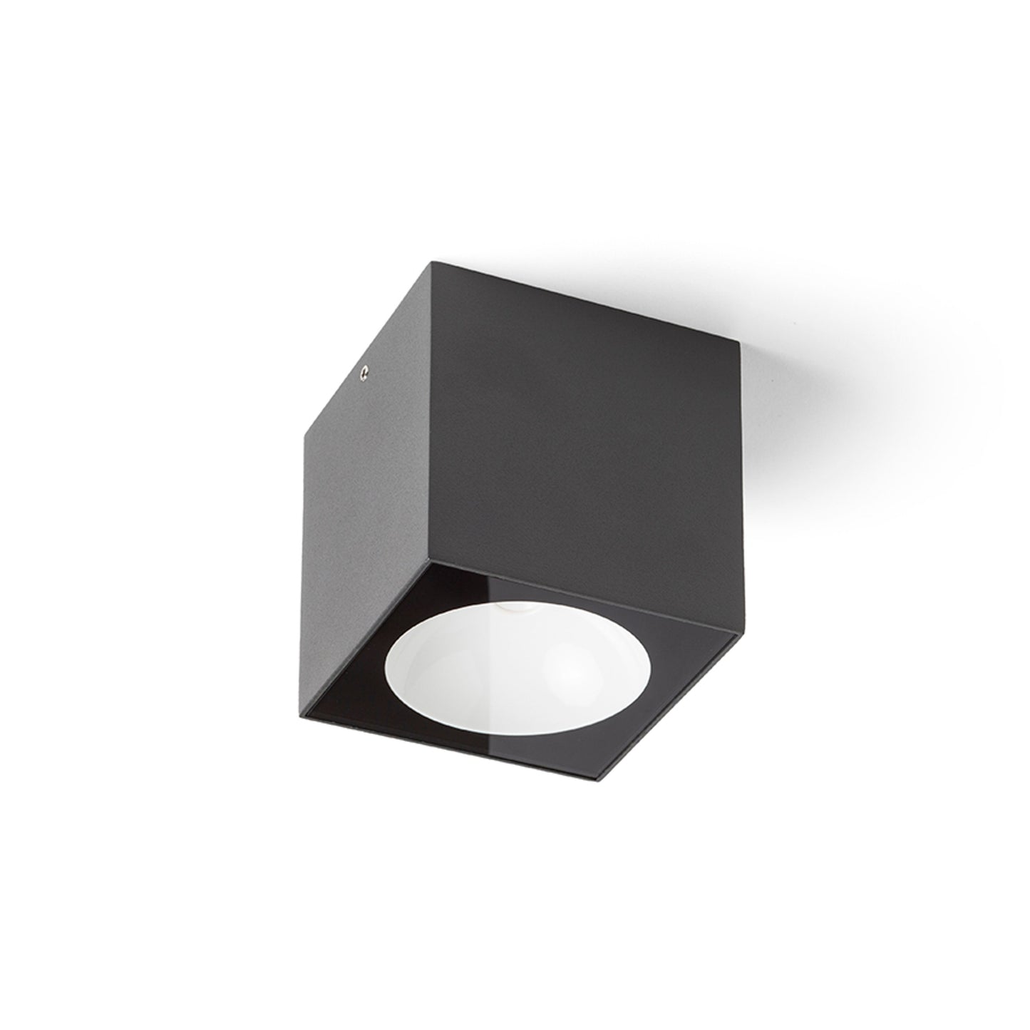 RENDL outdoor lamp SENZA SQ ceiling anthracite grey clear glass 230V LED 6W IP65  3000K R13625 2