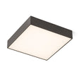 LARISA SQ 30 3CCT DIMM
