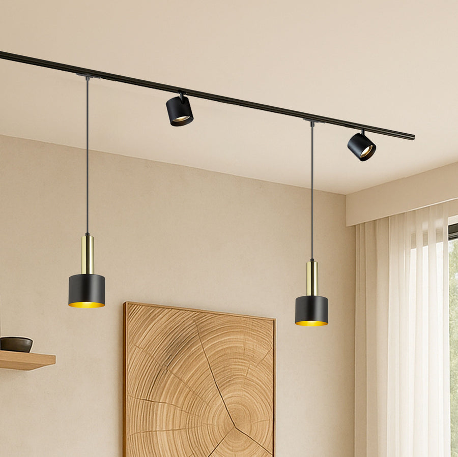 Sistemas de carril 1F